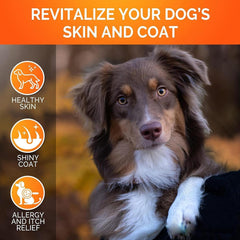 Youmile Omega 3 For Dogs - 120Ct  Fish Oil Treats - Allergy & Itch Relief Skin & Coat Supplement - Dry Itchy Skin, Anti Shedding & Hot Spots Treatment - Pet Salmon Oil Chews - Chicken Flavor Dog  Vit